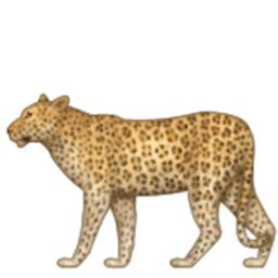 Leopard Emoji