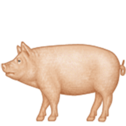 Pig Emoji