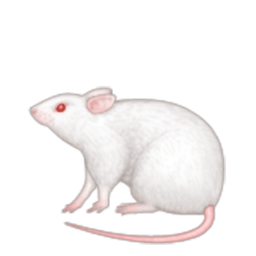 Mouse Emoji