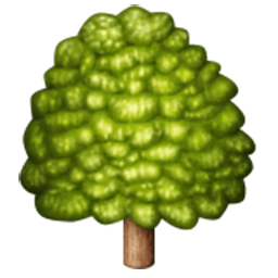 Deciduous Tree Emoji