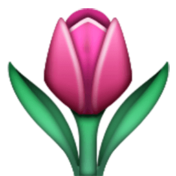 Tulip Emoji