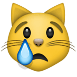 Crying Cat Face Emoji