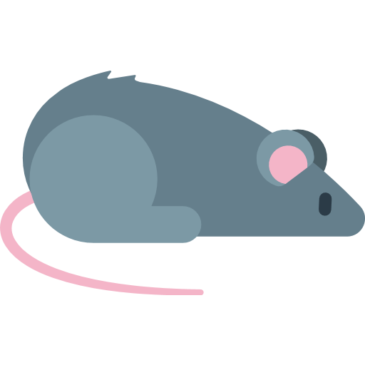 Rat Emoji